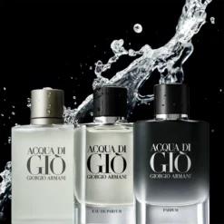Armani Acqua Di Giò Parfum -Pas Cher Luxe Arome Magasin armani acqua di gio parfum parfum pour homme 7