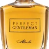 Art & Parfum Perfect Gentleman Absolu -Pas Cher Luxe Arome Magasin art parfum perfect gentleman absolu eau de parfum pour homme