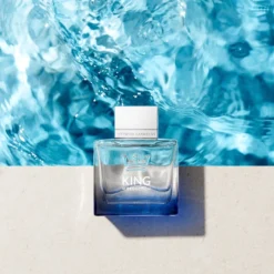 Banderas King Of Seduction -Pas Cher Luxe Arome Magasin banderas king of seduction eau de toilette pour homme 2