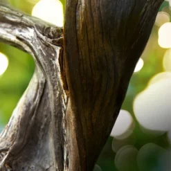 BULGARI Bvlgari Man Wood Essence -Pas Cher Luxe Arome Magasin bulgari bvlgari man wood essence eau de parfum pour homme 2