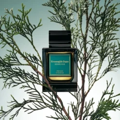 Ermenegildo Zegna Roman Wood -Pas Cher Luxe Arome Magasin ermenegildo zegna roman wood eau de parfum pour homme 2