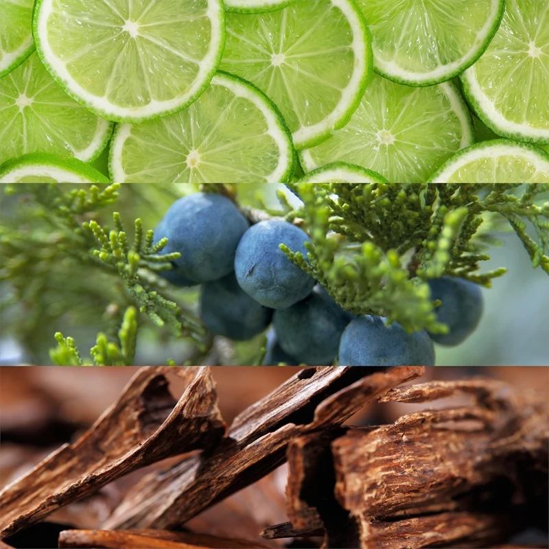 Lacoste Pour Homme 5 Lacoste Pour Homme – Image 3