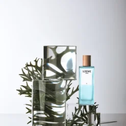 Loewe Agua Él -Pas Cher Luxe Arome Magasin loewe agua el eau de toilette pour homme 2