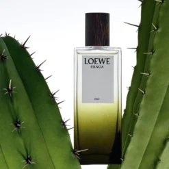 Loewe Esencia Elixir -Pas Cher Luxe Arome Magasin loewe esencia elixir parfum pour homme 2