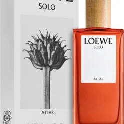 Loewe Solo Atlas -Pas Cher Luxe Arome Magasin loewe solo atlas eau de parfum pour homme 1
